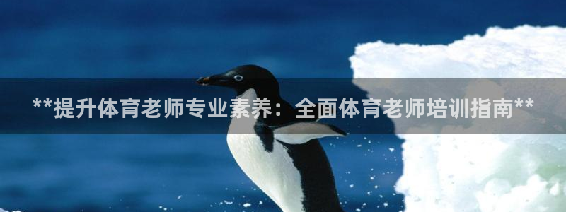 焦点娱乐官方网站入口下载