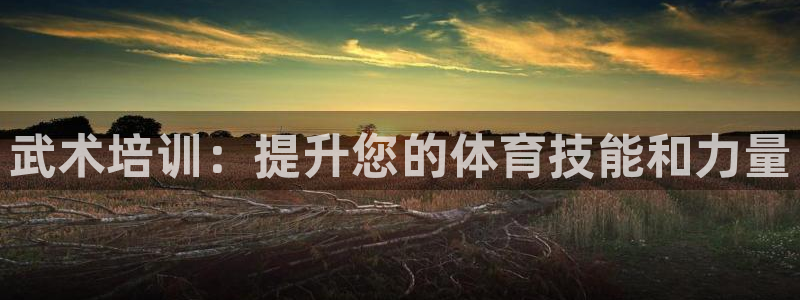 焦点娱乐官方网站入口在线观看：武术培训：提升您的体育