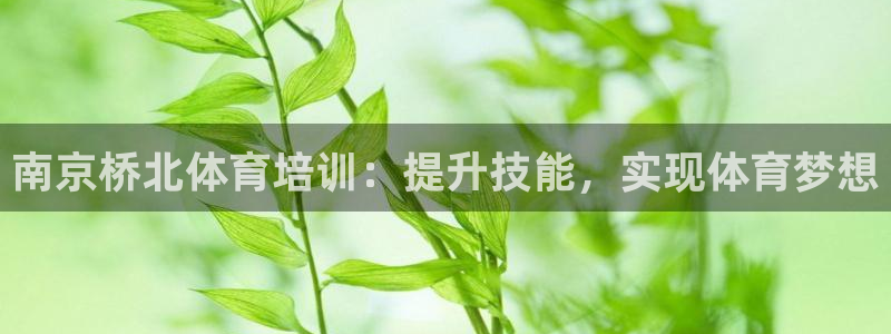 焦点娱乐传媒有限公司招聘