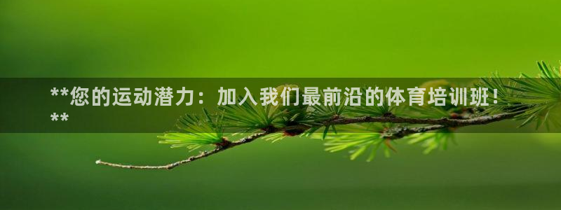 焦点娱乐游戏攻略大全