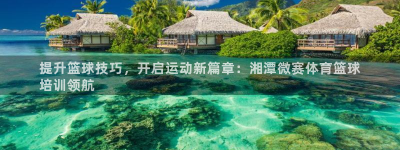 焦点娱乐力 411o31 焦点