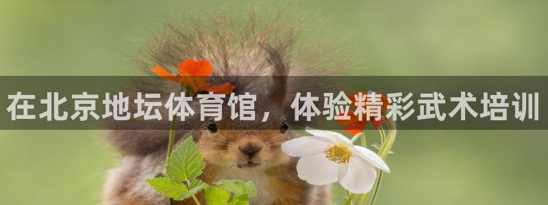 焦点娱乐app下载安装