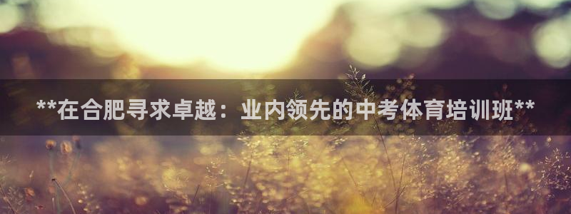 焦点娱乐游戏怎么玩教程：**在合肥寻求卓越：业内领先