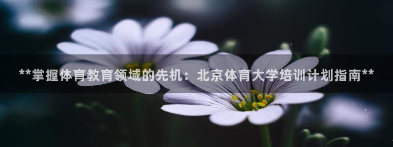 焦点娱乐拉菲11月11日：**掌握体育教育领域的先机