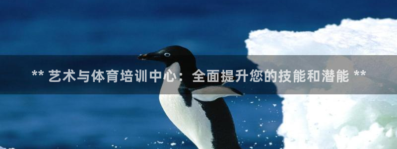 焦点娱乐力 411o31 焦点