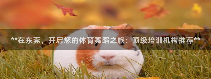 焦点娱乐官网首页下载：**在东莞，开启您的体育舞蹈之