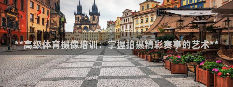 焦点娱乐公司的发展历程