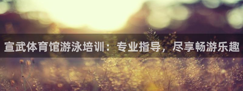 焦点娱乐挂机版下载：宣武体育馆游泳培训：专业指导，尽