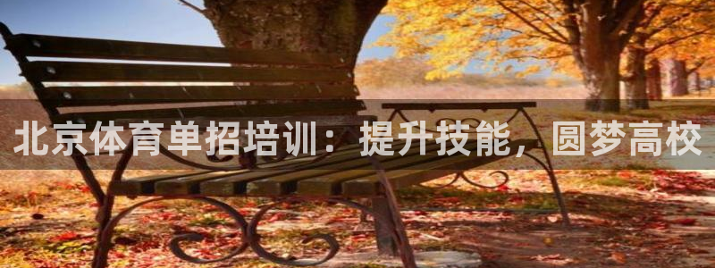 焦点娱乐平台业7O777：北京体育单招培训：提升技能