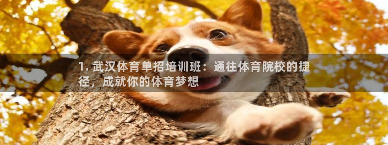 焦点娱乐官方网站入口下载安装：1. 武汉体育单招培训