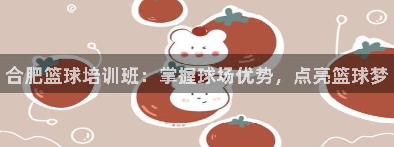 焦点娱乐软件版本区别：合肥篮球培训班：掌握球场优势，