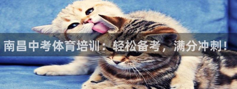 焦点娱乐app下载官网