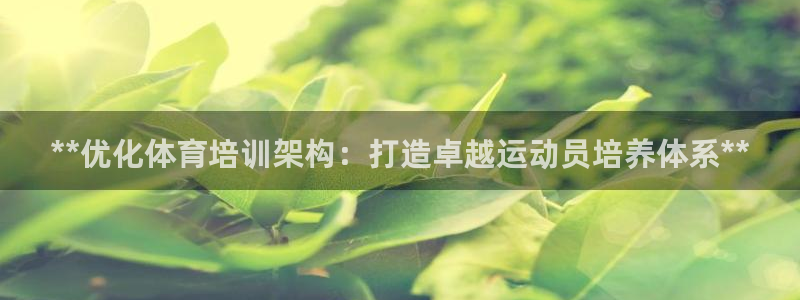 焦点娱乐加速器下载安卓：**优化体育培训架构：打造卓