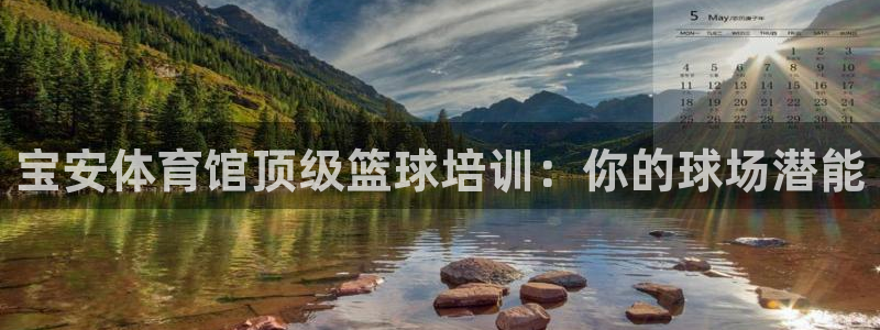焦点娱乐官方网站入口在线观看下载：宝安体育馆顶级篮球