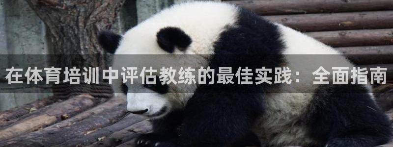 焦点娱乐平台登录不了了：在体育培训中评估教练的最佳实