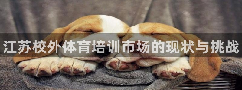 焦点娱乐总代理在哪：江苏校外体育培训市场的现状与挑战