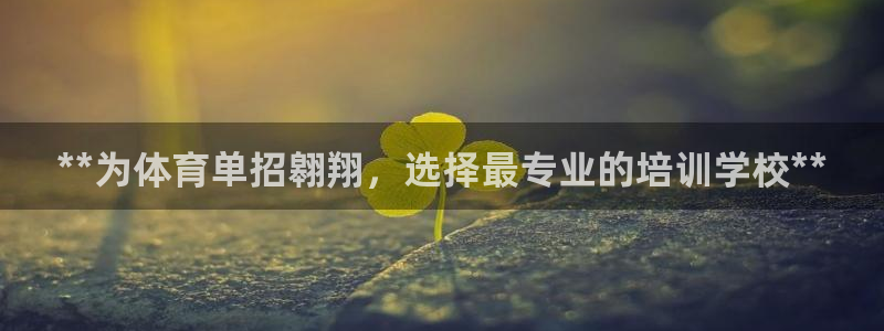 焦点娱乐平台总代理开户怎么样：**为体育单招翱翔，选择最专业
