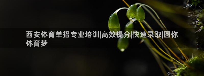 焦点娱乐营7O777：西安体育单招专业培训|高效提分