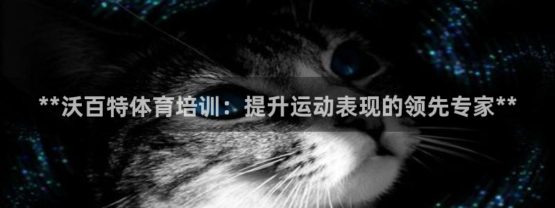 焦点娱乐全国总冠军都有谁：**沃百特体育培训：提升运
