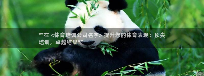 焦点娱乐官方网站入口