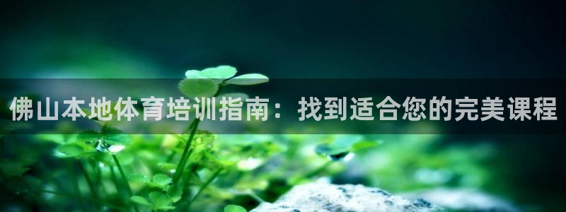 焦点娱乐平台是正规的吗：佛山本地体育培训指南：找到适