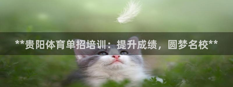 焦点娱乐官网首页下载：**贵阳体育单招培训：提升成绩