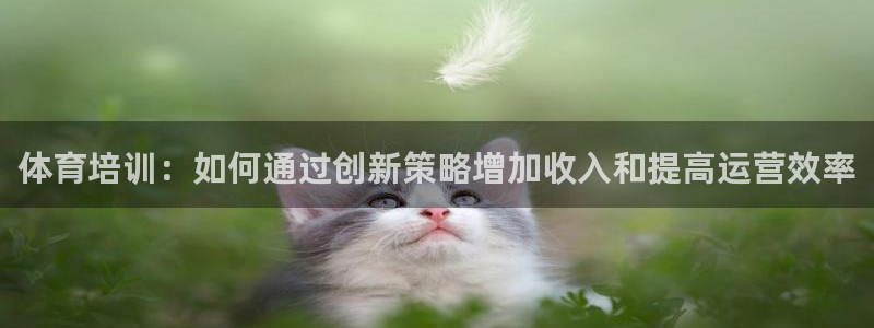 焦点娱乐官网下载安装