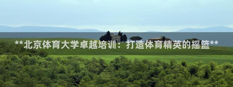 焦点娱乐拉菲11月11日