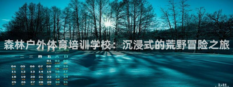 焦点娱乐官网首页下载安装：森林户外体育培训学校：沉浸