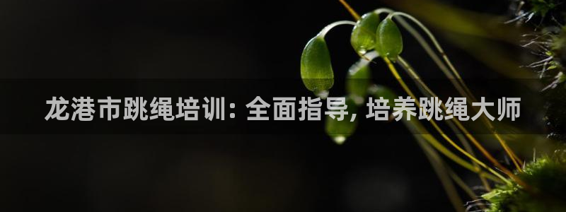 焦点娱乐平台客服电话号码