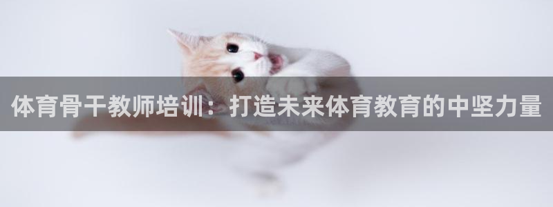 焦点娱乐公司的发展历程简介