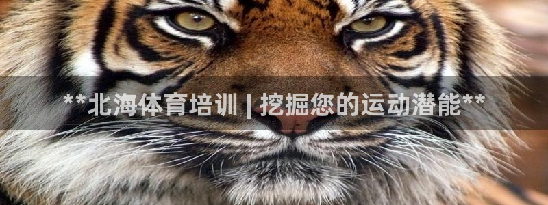 焦点娱乐传媒有限公司怎么样啊