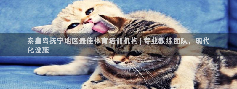 焦点娱乐如何注册账号登录：秦皇岛抚宁地区最佳体育培训