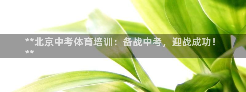 焦点娱乐传媒有限公司怎么样呀