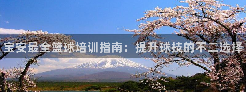 焦点娱乐怎么找：宝安最全篮球培训指南：提升球技的不二选择