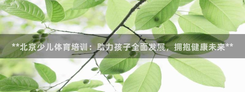 焦点娱乐官方网站下载安装最新版：**北京少儿体育培训
