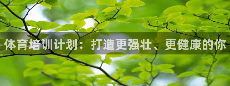 焦点娱乐怎么找客服：体育培训计划：打造更强壮、更健康