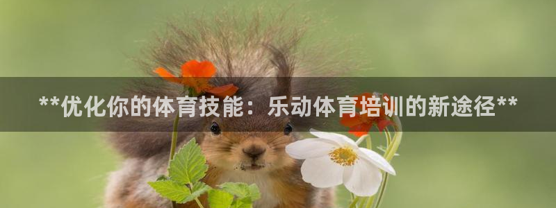 焦点娱乐门徒娱乐骗局：**优化你的体育技能：乐动体育