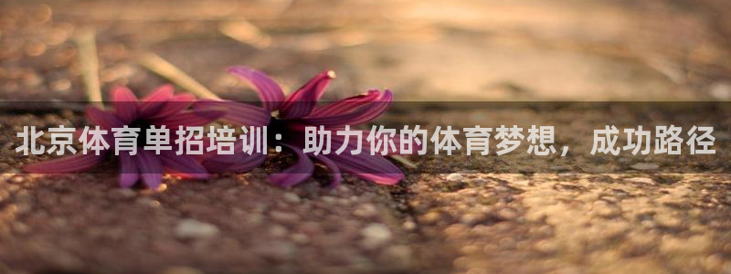 焦点娱乐股东有哪些