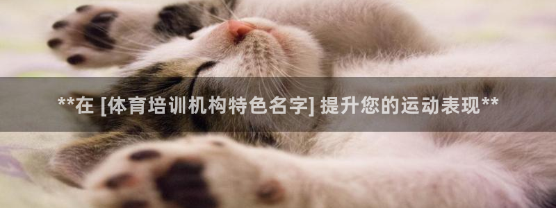焦点娱乐跨服怎么玩：**在 [体育培训机构特色名字] 提升您