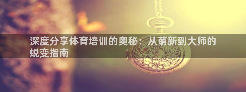 焦点娱乐平台登录不了：深度分享体育培训的奥秘：从萌新到大师的