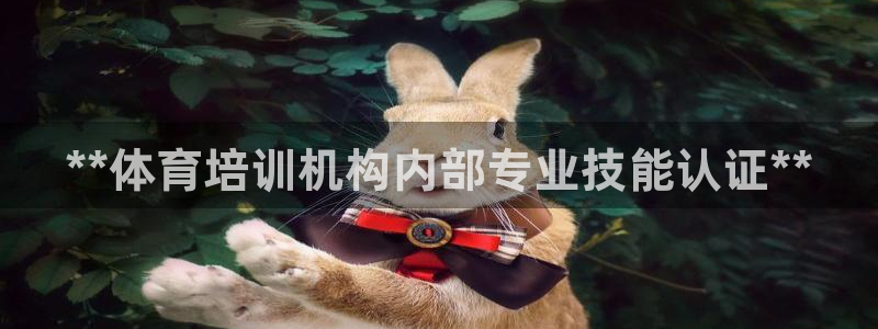 焦点娱乐官方网站入口在线观看视频：**体育培训机构内