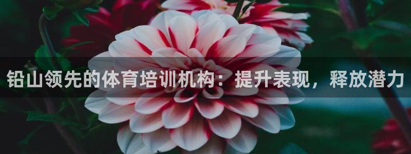 焦点娱乐平台：铅山领先的体育培训机构：提升表现，释放