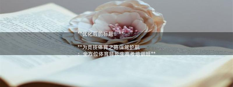 焦点娱乐拉菲11月11日：**优化后的标题：**

