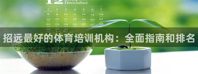 焦点娱乐游戏攻略大全：招远最好的体育培训机构：全面指