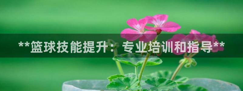 焦点娱乐传媒有限公司怎么样呀：**篮球技能提升：专业