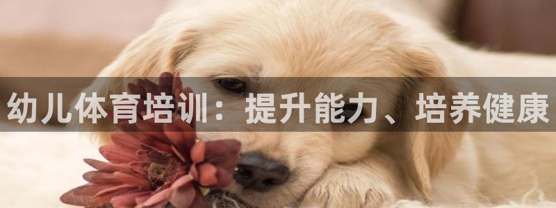 焦点娱乐是哪个公司的产品：幼儿体育培训：提升能力、培