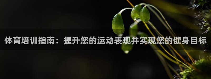 焦点娱乐平台登录不了怎么回事：体育培训指南：提升您的