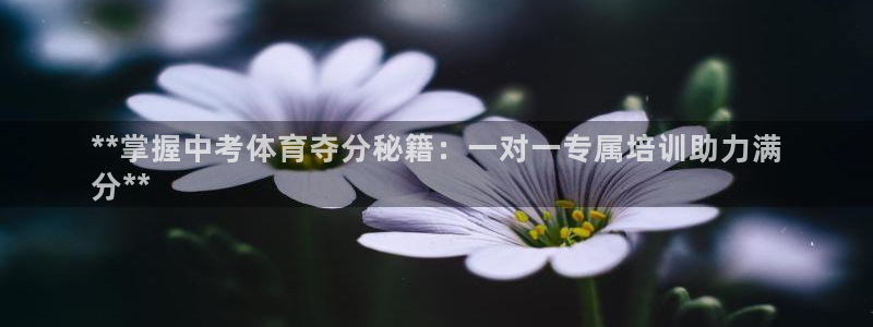 焦点娱乐平台主管：**掌握中考体育夺分秘籍：一对一专