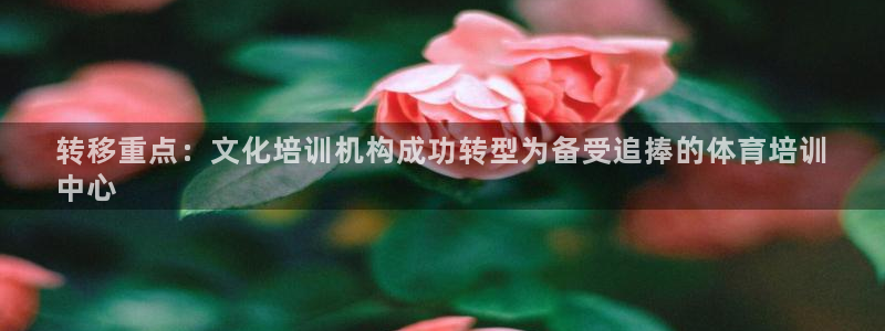 焦点娱乐平台注册账号安全吗：转移重点：文化培训机构成